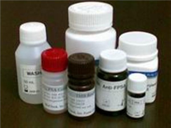 ProteinL琼脂糖凝胶