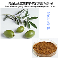 优质橄榄叶提取物