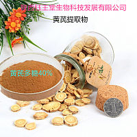 增强免疫力黄芪提取物