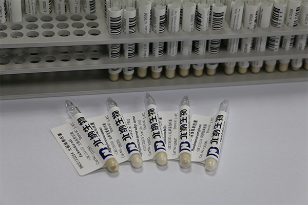 北纳创联白假丝酵母