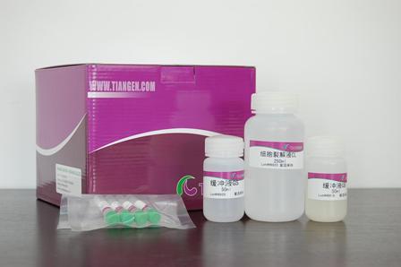 Blood Direct PCR Kit