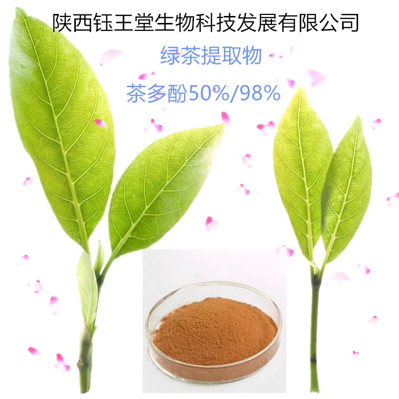 茶多酚90%绿茶提取物