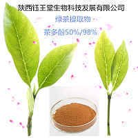 茶多酚90%绿茶提取物
