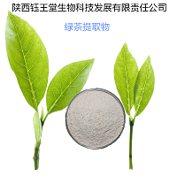 表没食子儿茶素没食子酸酯（简称EGCG）绿茶提取物