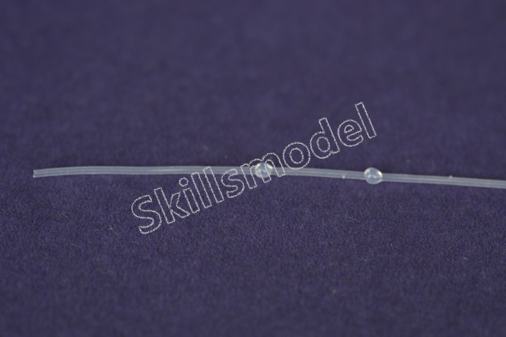 大鼠十二指肠插管