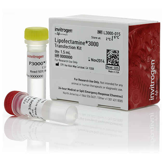 Lipofectamine® 3000 转染试剂 Invitrogen™