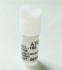 ATCC CCL-70 CV-1