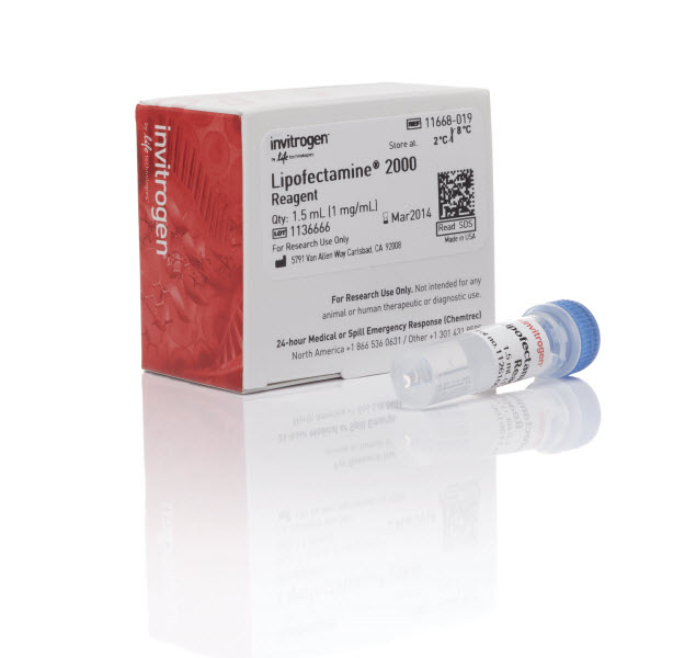 Lipofectamine® 2000 转染试剂 Invitrogen™