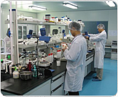 凝胶迁移实验(EMSA) 技术