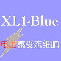 XL1-Blue电转