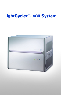 mRNA实时荧光定量PCR（qPCR）技术服务