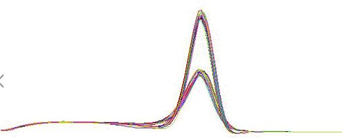 荧光定量PCR 