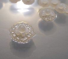 北纳创联胶质芽孢杆菌 AS1.231