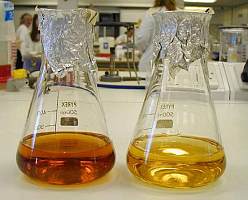 BOC-D-亮氨酸进口