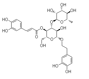 毛蕊花糖苷 Acteoside CAS：61276-17-3