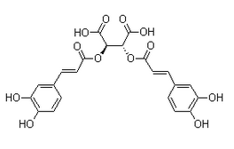 菊苣酸 Cichoric Acid CAS:6537-80-0