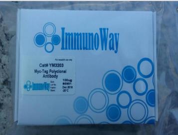 Immunoway YM3203-100ug 现货...Myc-Tag Polyclonal Antibody