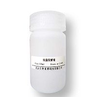 M13mp18 RF I DNA促销