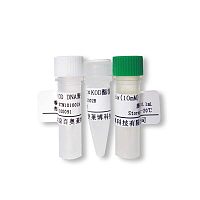 抑胃肽酶溶液(Pepstain,1mg/ml)优惠促销