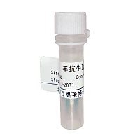 小鼠IgG1抗原现货