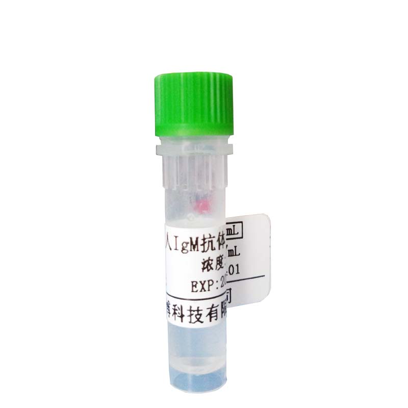 羊抗大鼠IgG抗体(胶体金标记) 胶体金标记抗体