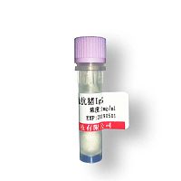 小鼠抗人IgG FC抗体怎么卖