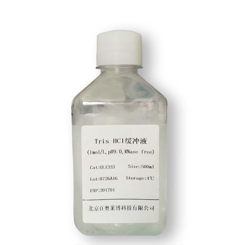 DH5α甘油菌多少钱