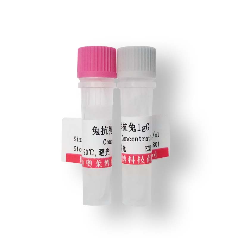 BL0951型羊抗人IgA(α链特异)抗体(胶体金标记)价格