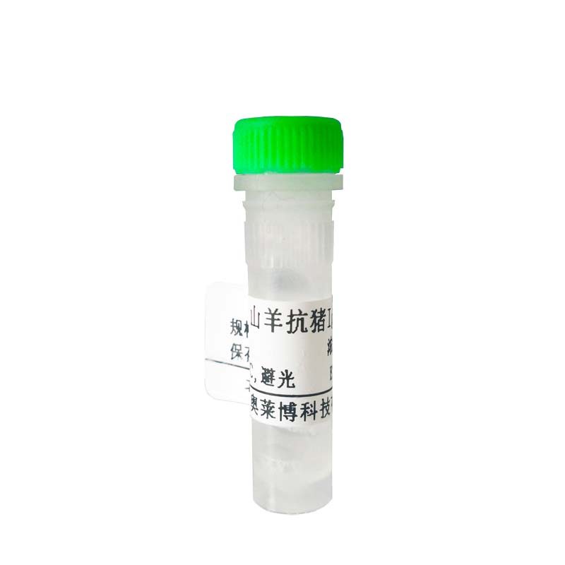 CYB164054型兔抗大鼠IgG(1：500～2000)-HRP优惠促销