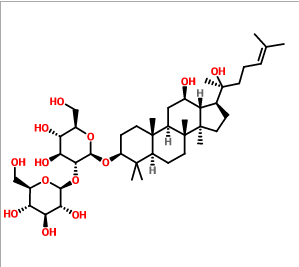 20(S)人参皂苷Rg3