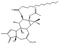 伏波酯-12-十四烷酸酯-13-乙酸酯 12-O-tetradecanoyl phorbol-13-acetate