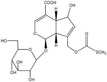鸡屎藤苷酸  paederosidic acid
