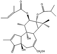 伏波酯-12-惕各酸酯-13-异丁酸酯 12-O-Tiglylphorbol-13 –isobutyrate