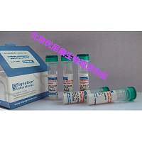 GenJet™ Plus DNA In Vitro Transfection Reagent SL100499