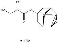 氢溴酸东莨菪碱 Scopolamine hydrobromide