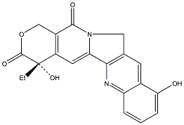 10-羟基喜树碱 10-Hydroxycamptothecin