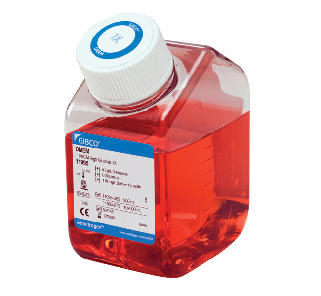 DMEM