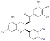 表儿茶素没食子酸酯 (−)-Epicatechin gallate