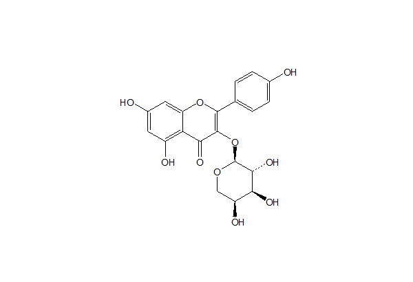  山柰酚-3-O-α-L-吡喃阿拉伯糖苷
