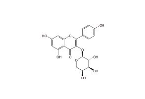  山柰酚-3-O-α-L-吡喃阿拉伯糖苷
