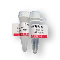 WB抗体清除液(强碱性)厂家价格