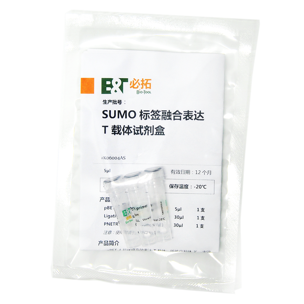 SUMO标签融合表达T载体试剂盒
