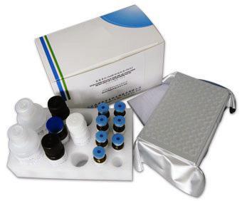 大鼠尿激酶型纤溶酶原激活物受体(PLAUR/uPAR)酶联免疫检测试剂盒