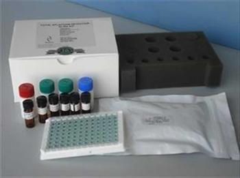 大鼠肾损伤分子1(Kim-1)酶联免疫检测试剂盒