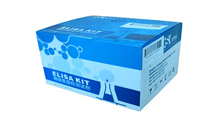  人白介素17(IL-17)elisa试剂盒