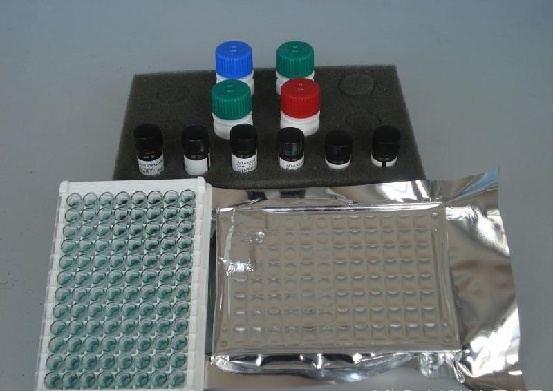 大鼠抗甲状腺球蛋白抗体(ATGA/TGAB)酶联免疫检测试剂盒
