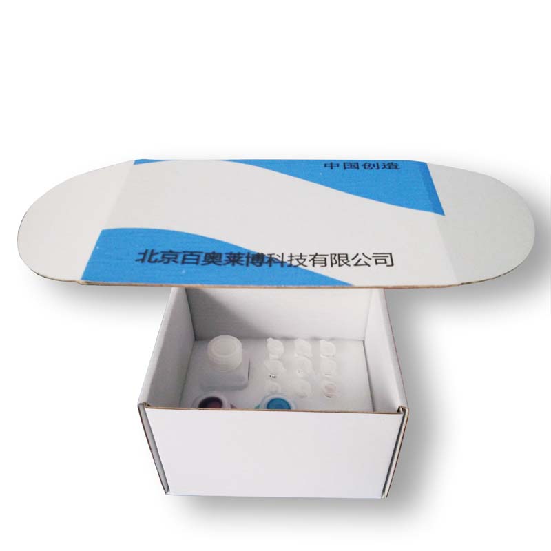 Annexin V-kFluor555/7-AAD双染细胞凋亡检测试剂盒现货产品图