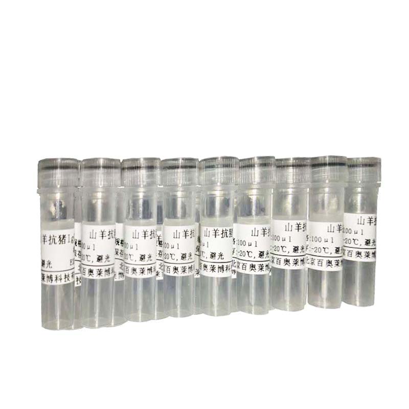 Cy5标记山羊抗人IgG(H+L)促销