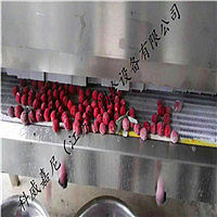 科威嘉尼300公斤液氮速冻机速冻蓝莓杨梅