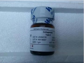 Worthington LS004176 胶原酶,II型 Collagenase